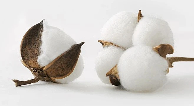 product-658-360 product-658-360